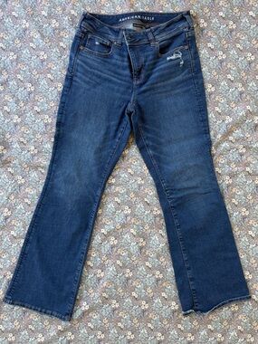 American Eagle Outfitters Dark Blue Flare Jeans